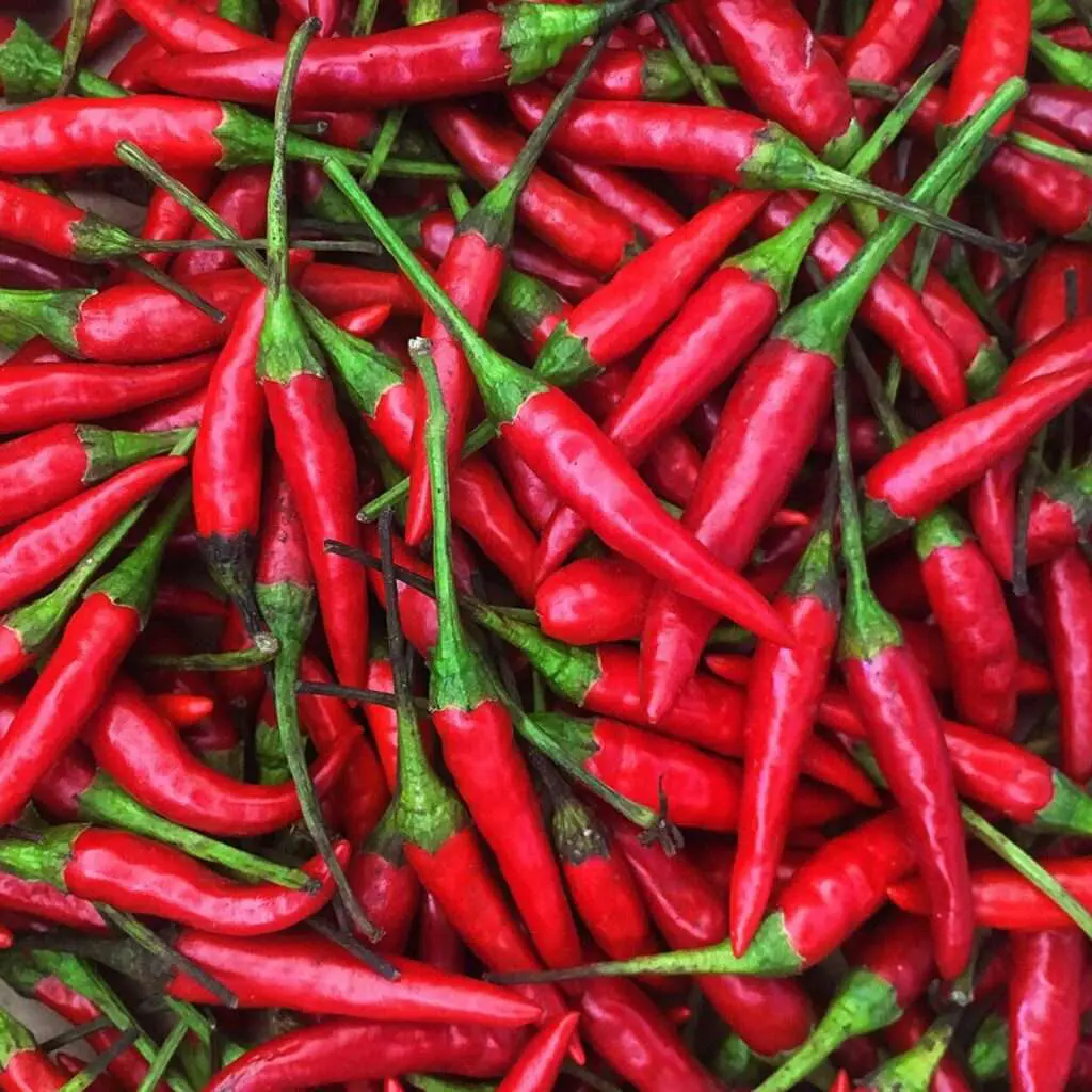 Crying Tiger Sauce Thai Chili Oil