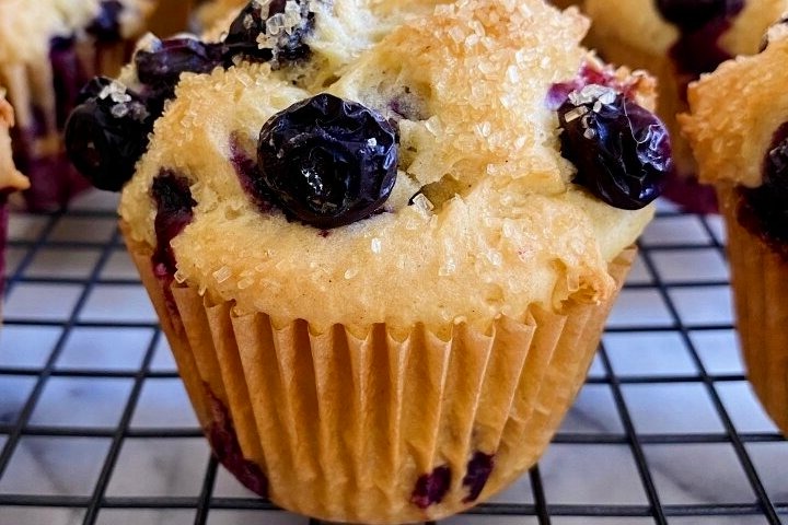 Dunkin Donuts Blueberry Muffin Recipe 