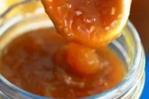 Orange Ginger Sauce