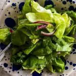 Sweet Onion Dijon Vinaigrette Recipe