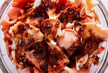 Pink Oyster Mushroom Recipe