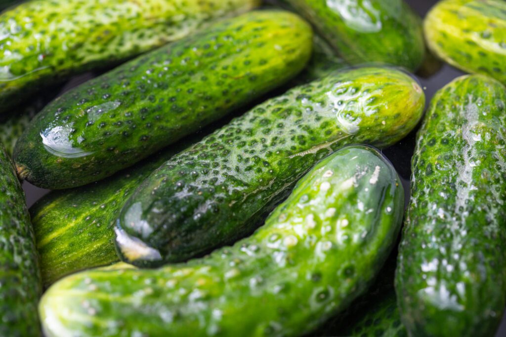 Ted's Montana Grill Pickles