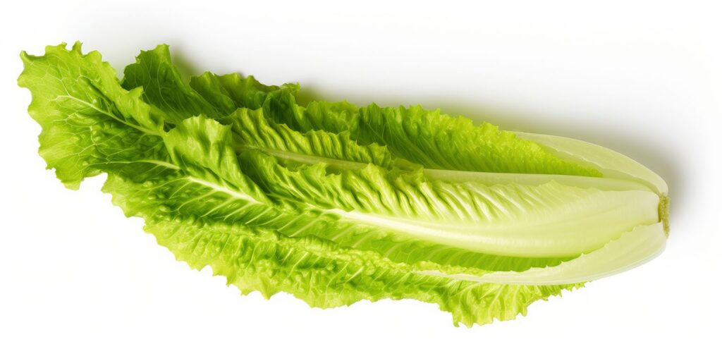 Larb Gai Recipe - Lettuce