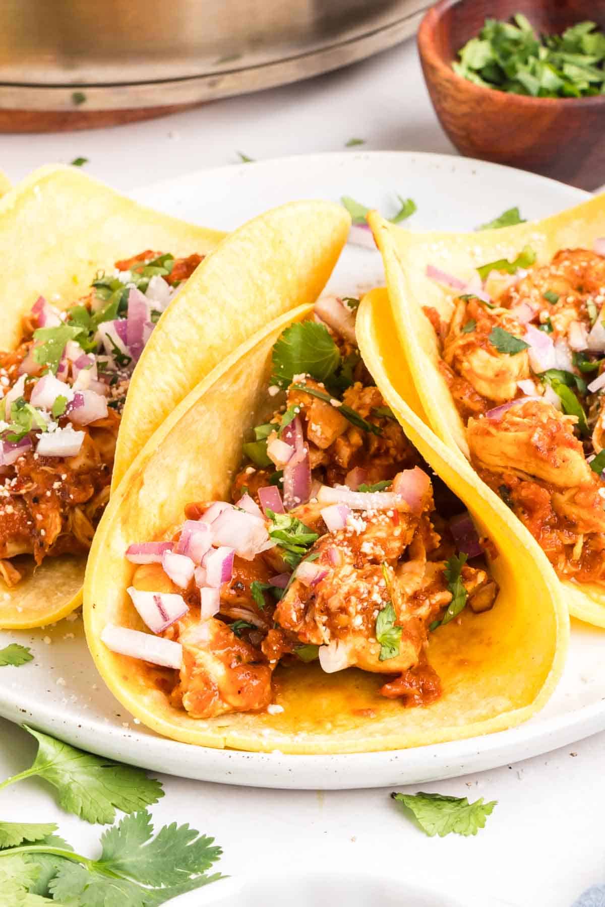 Chicken tinga served on warm tortillas with fresh cilantro, diced onions, and lime wedges, showing the rich reddish-brown sauce coating tender shredded chicken