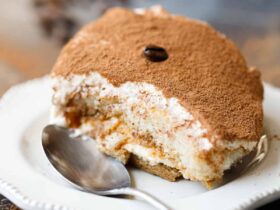 Classic tiramisu slice on elegant white plate showing distinct layers with cocoa powder dusting