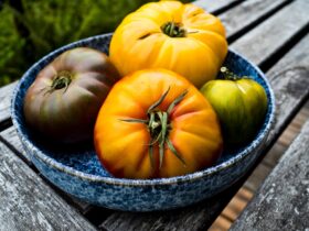 Heirloom tomato galette with golden flaky crust and colorful tomato slices on a rustic wooden board