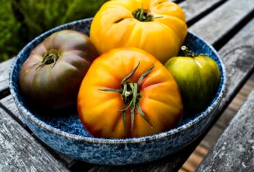 Heirloom tomato galette with golden flaky crust and colorful tomato slices on a rustic wooden board