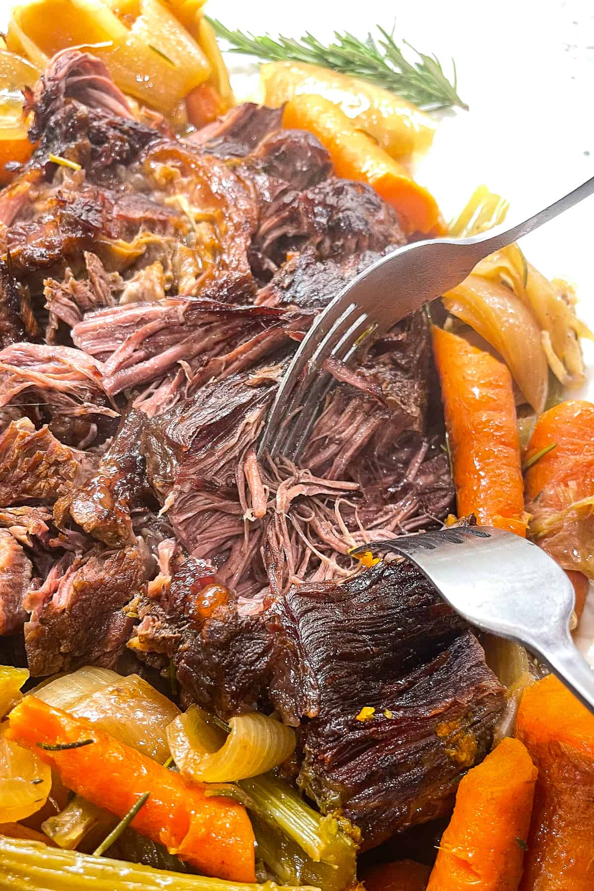 Close-up of slow cooker pot roast being pulled apart with two forks, revealing the juicy, deeply browned interior, surrounded by glistening carrots and potatoes with rich gravy pooling around the plate