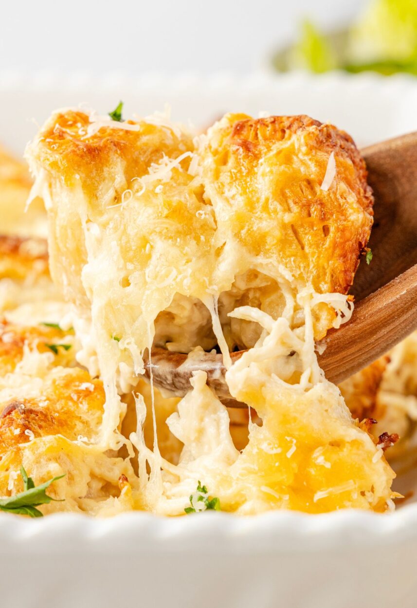 Chicken alfredo bake in a golden bubbly casserole dish with melted mozzarella and parmesan crust, fresh parsley garnish, overhead shot on a rustic wooden table